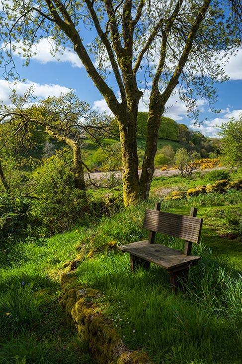 Wydemeet Bed & Breakfast Yelverton Bagian luar foto