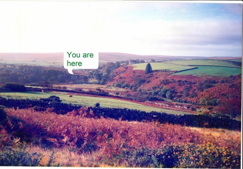 Wydemeet Bed & Breakfast Yelverton Bagian luar foto